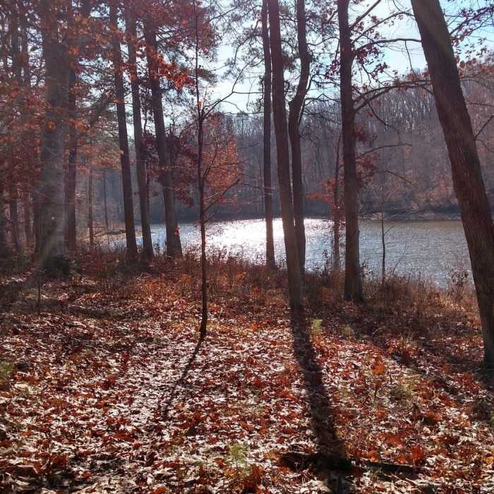 Inlet after RollingView Marina vista Near Rolling View Marina View Out-and-Back