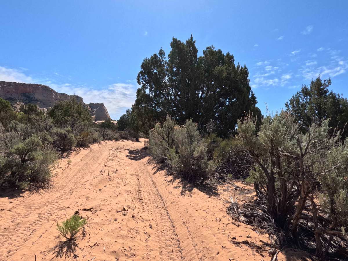 BLM 106E trail photo