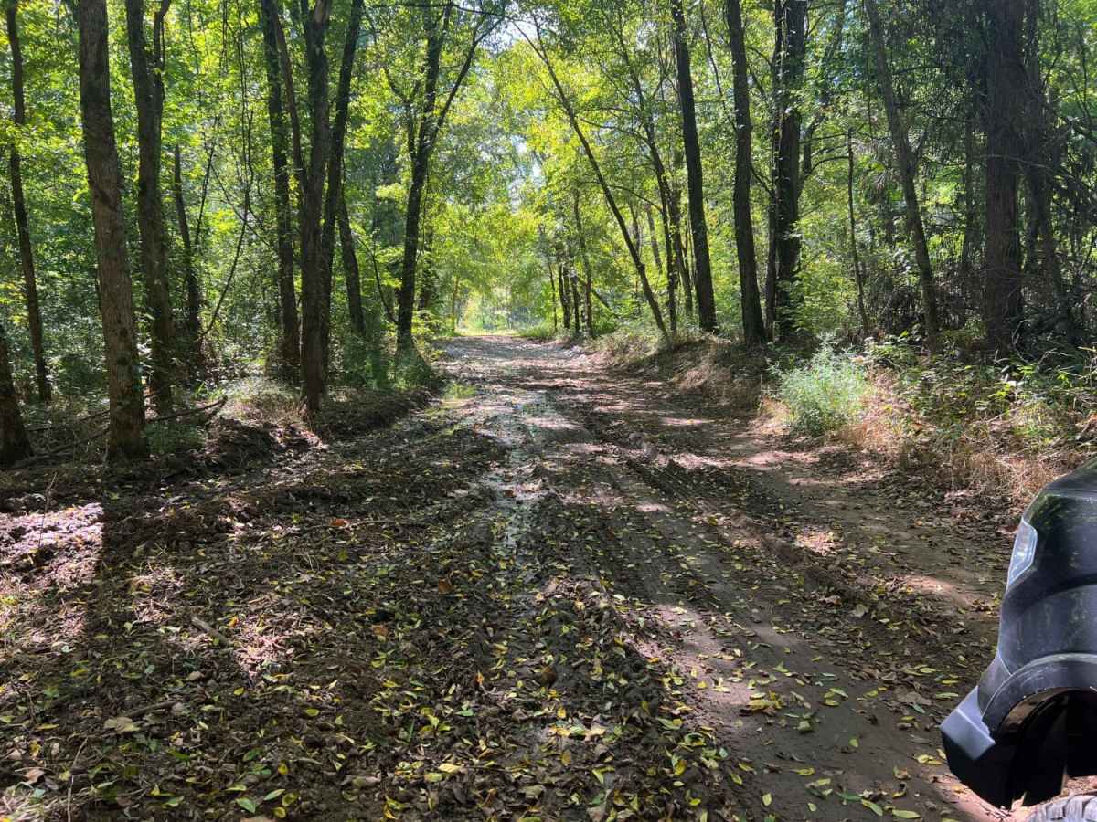 Old River Road photo 5