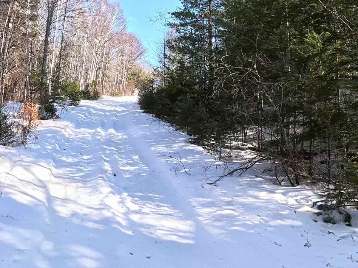 Upper Stone Ridge Easy Sand Pit photo 3