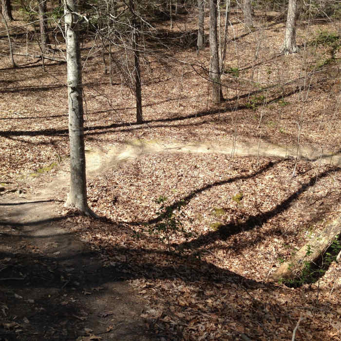 A winding section of Lookout Tower Trail. Near Waller Mill Park Loop
