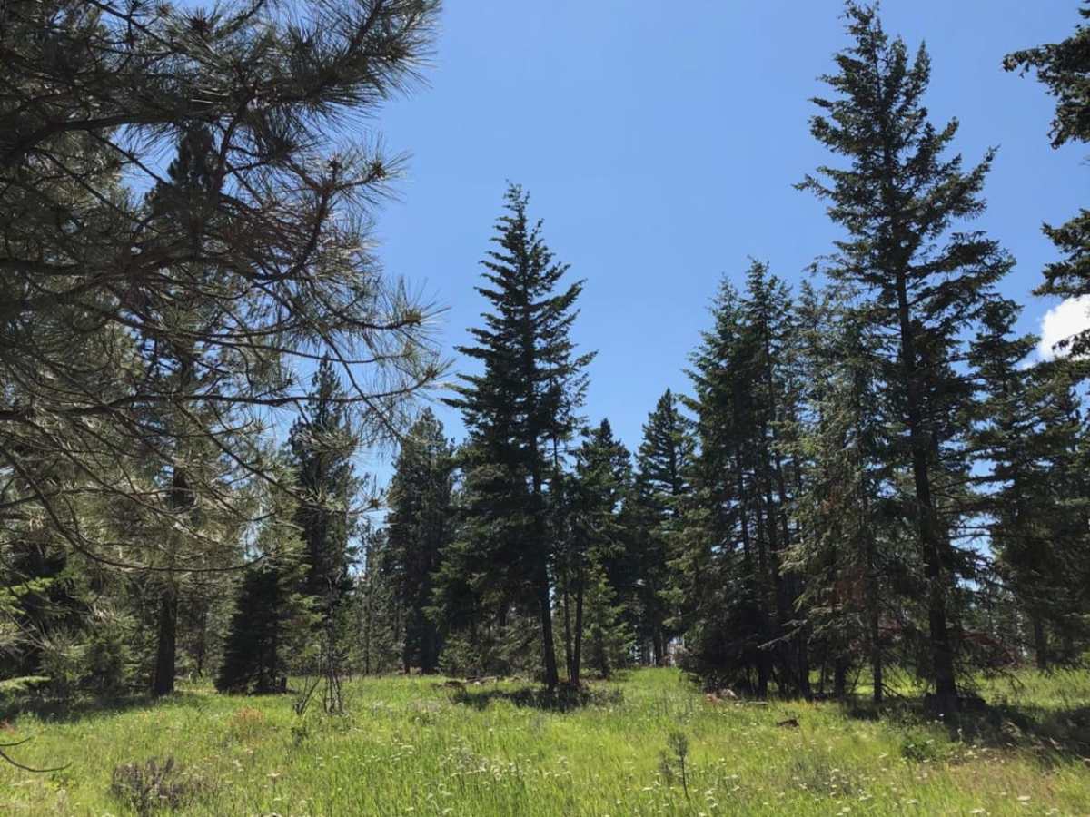 Meloy Canyon Road trail photo