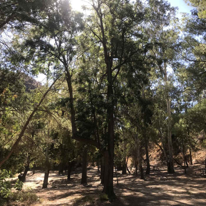 Near Gould Mesa Loop