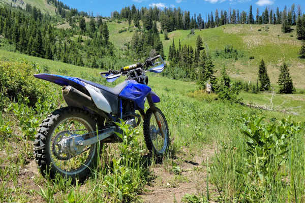 Mountain Single Track
