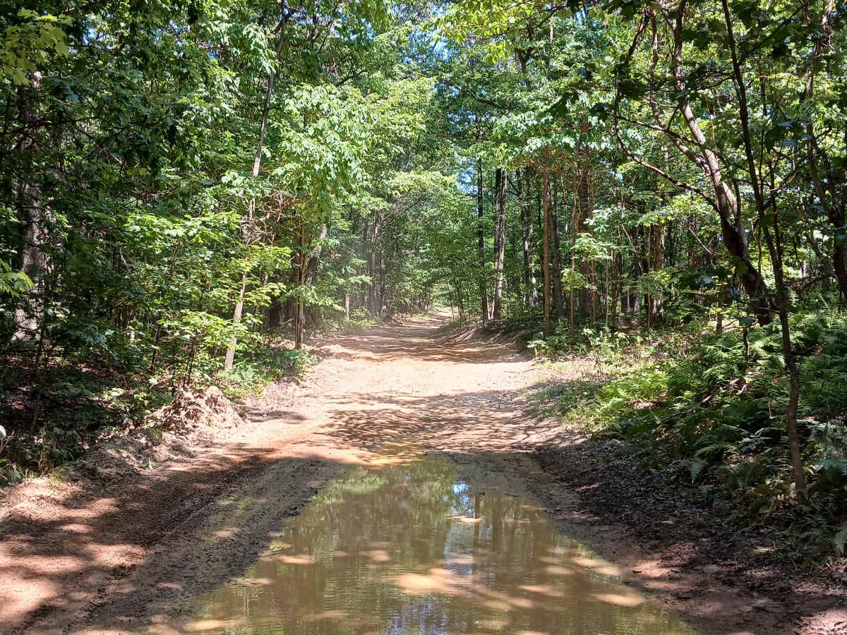 Short Lane - Rock Run Recreation Area photo 5