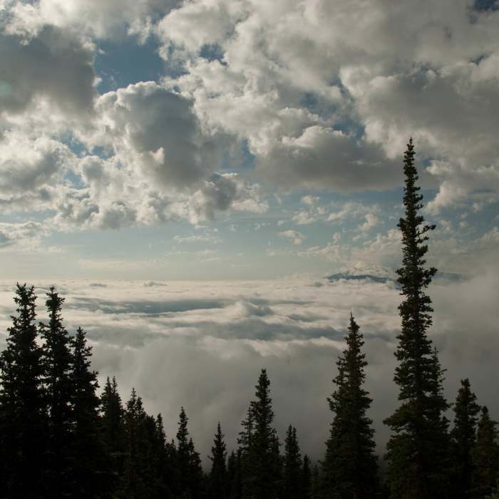 Near Mount Shavano and Tabeguache Peak