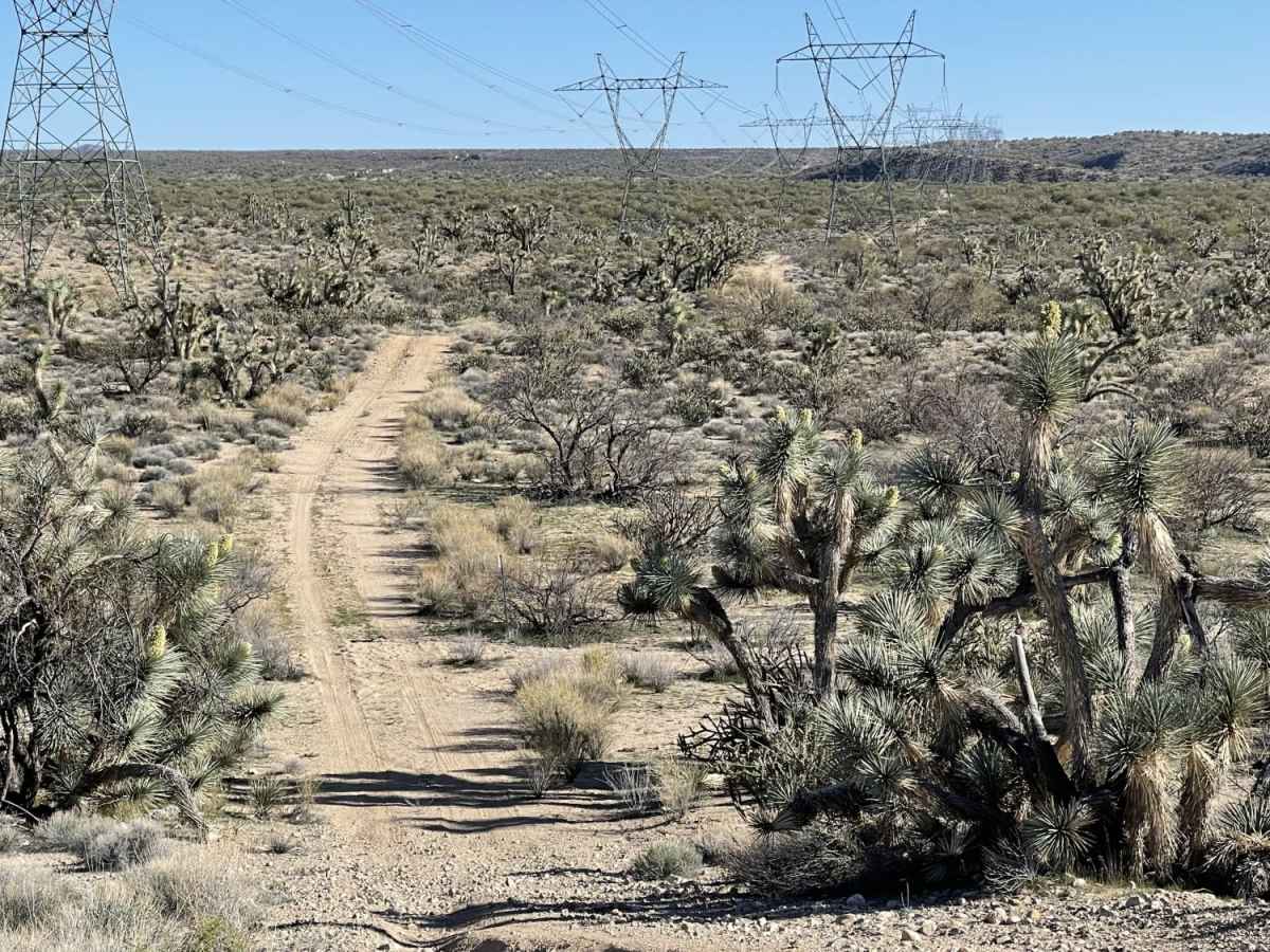 Another Powerline Road photo 2