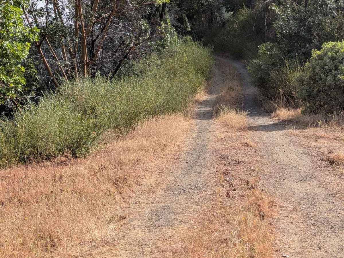 Little Creek Road - FS 32N16  photo 3