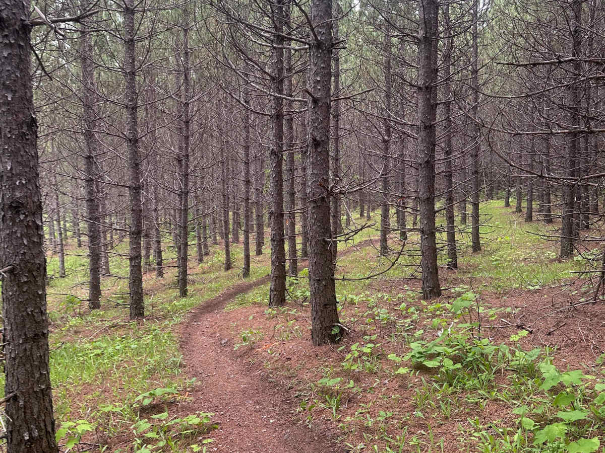 Alger Grade - Trail 1 photo 3