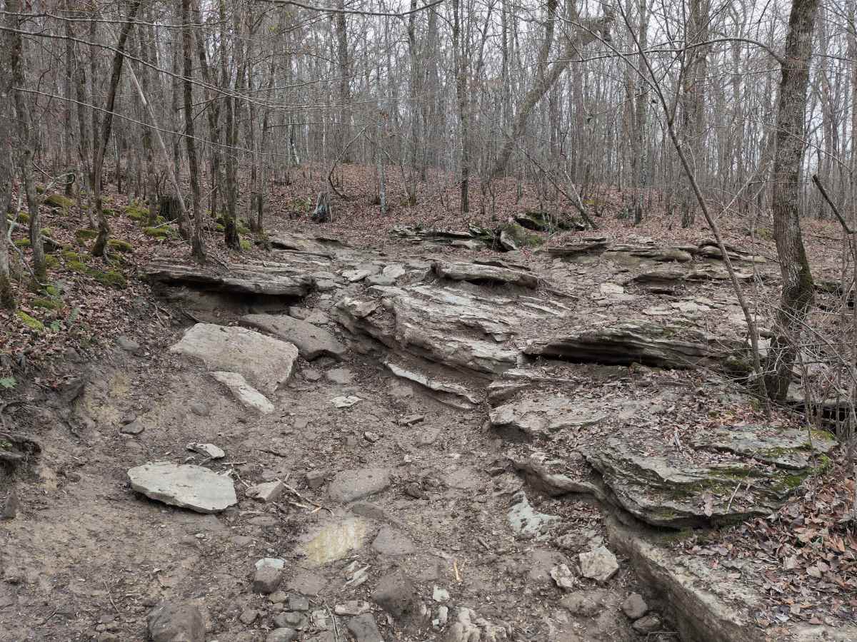 #23b Lucky's Loop photo 5