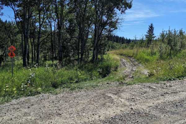 Porcupine Hills Trail 43