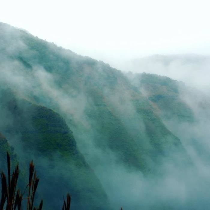 Near Awa'awapuhi Trail & Vista