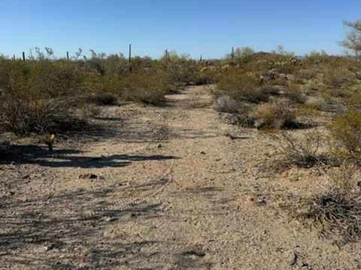BLM 38069 trail photo