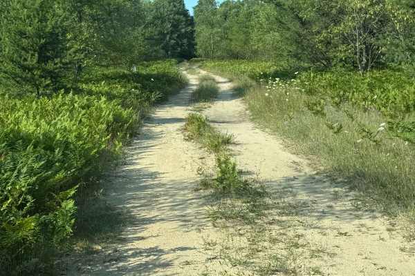 Lemon Creek Trail