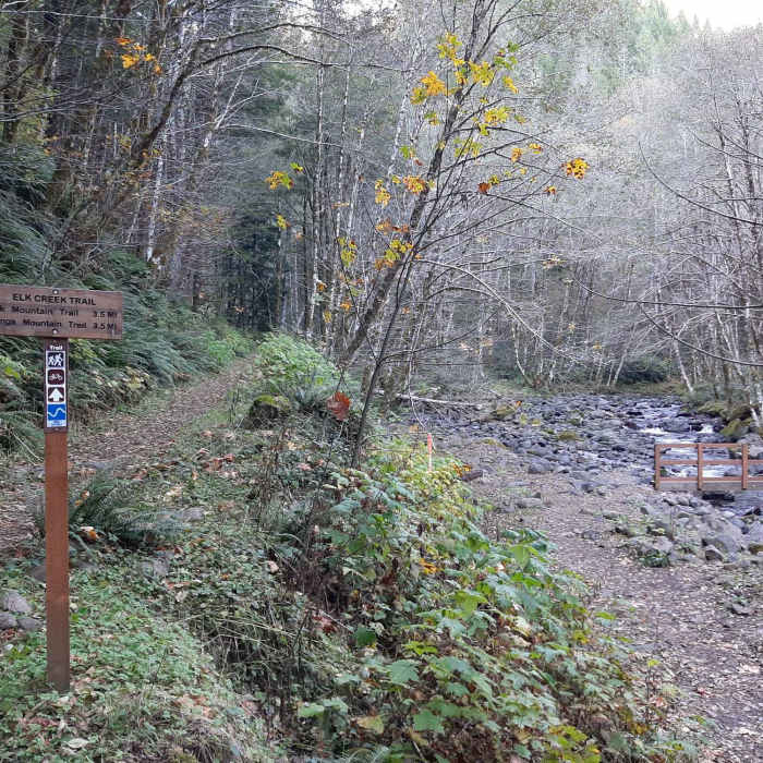 Near Elk Creek Trail