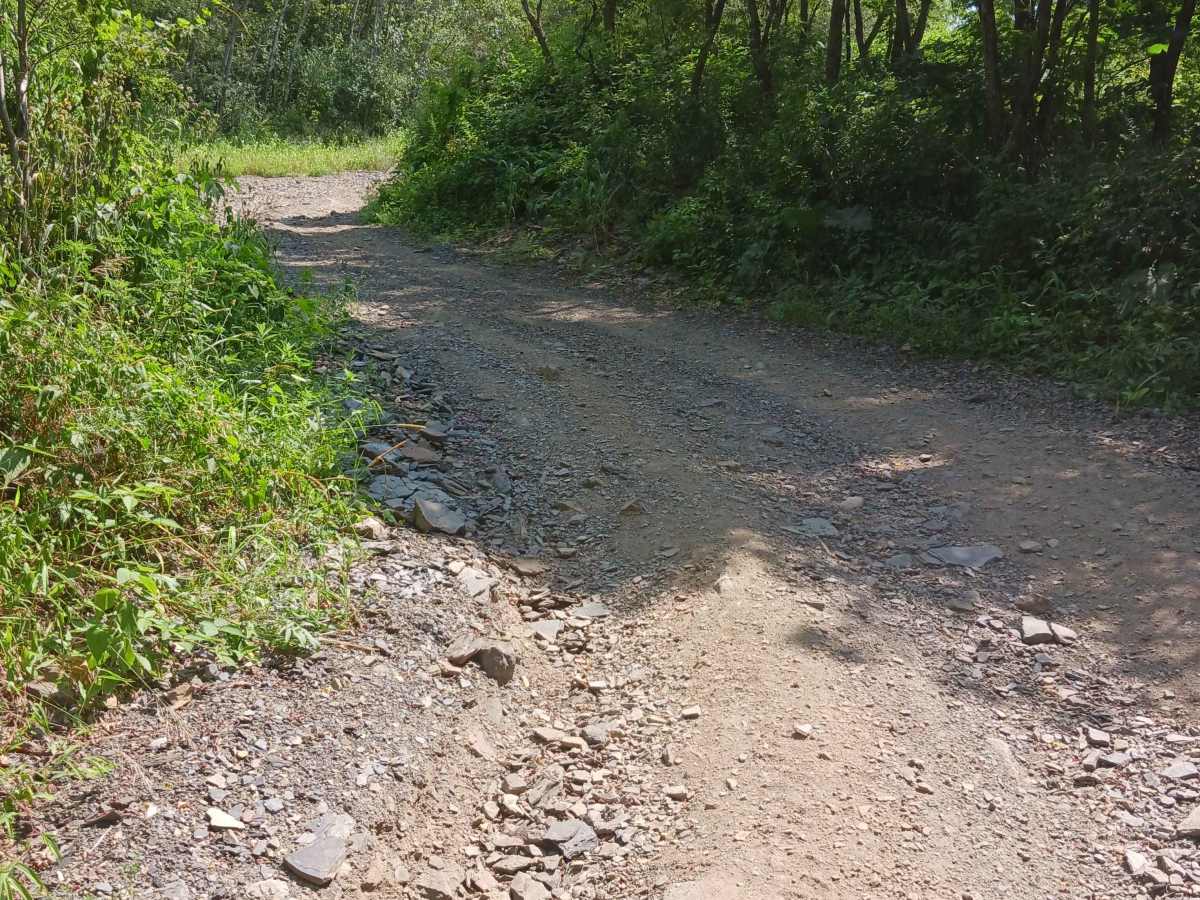 Big Buck Hill - Rock Run Recreation Area photo 6