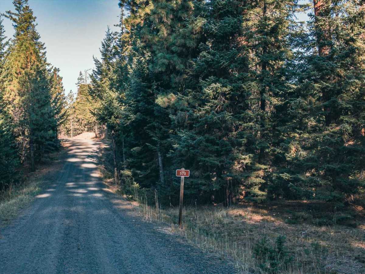 Milk Creek trail photo