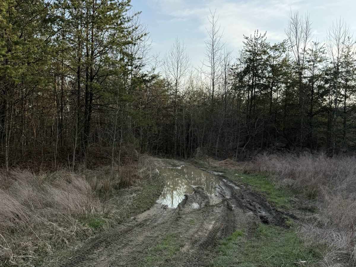 Q27 trail photo