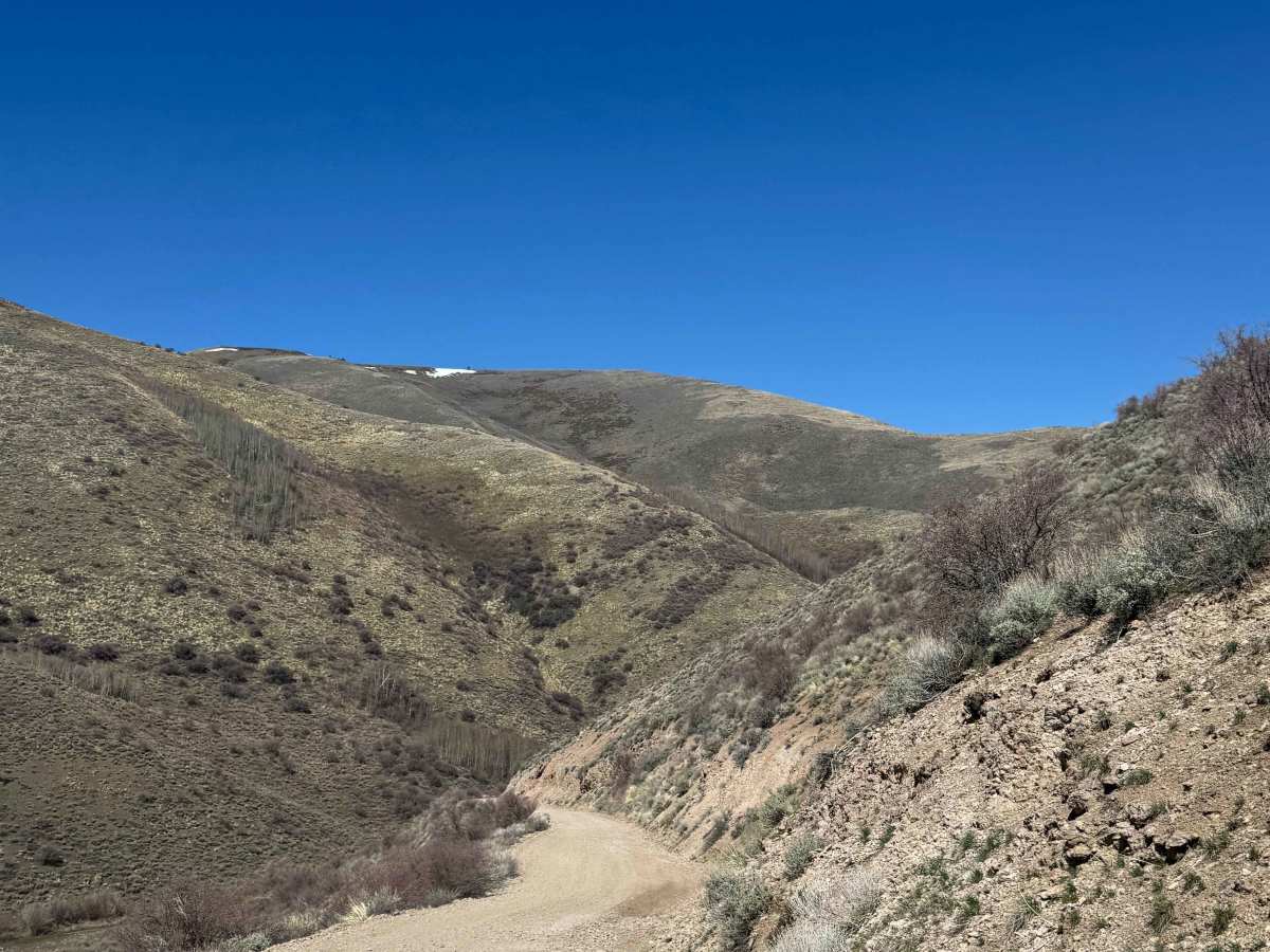 Trail Creek Road - FS 56729 photo 3