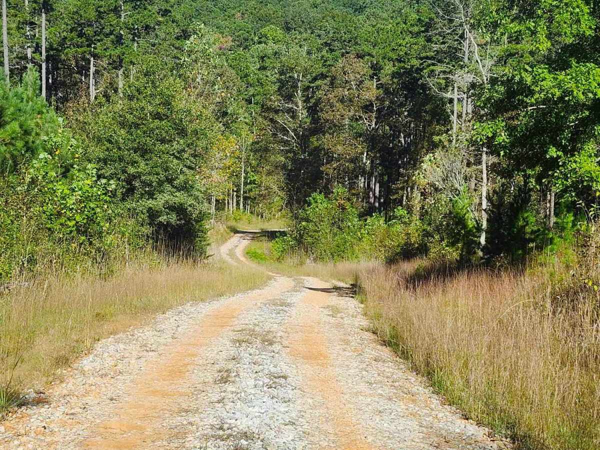Beaver Swamp Trail trail photo
