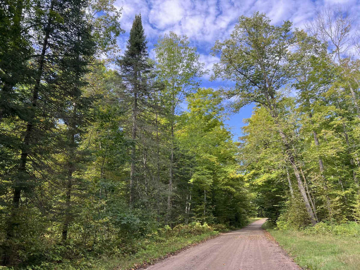 Knowles Creek Road - FS 2349 photo 5