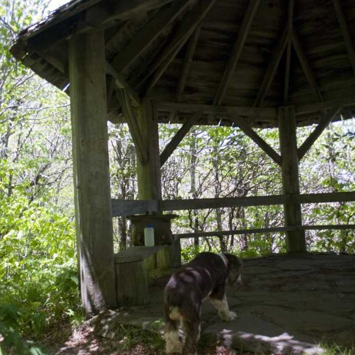 Near Craggy Gardens Near Craggy Gardens