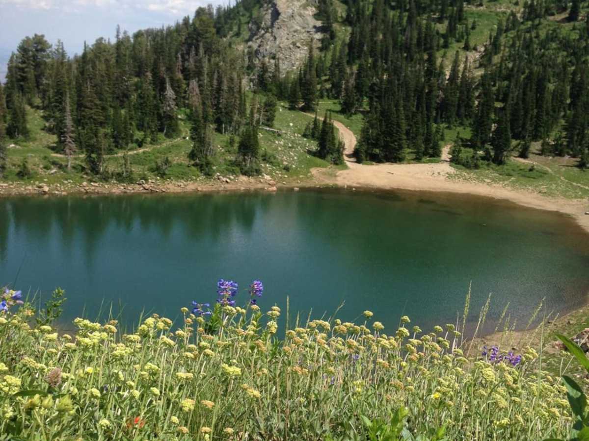 Smith Lakes trail photo