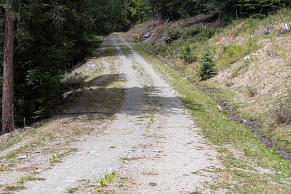 Sarsapkin Creek Road