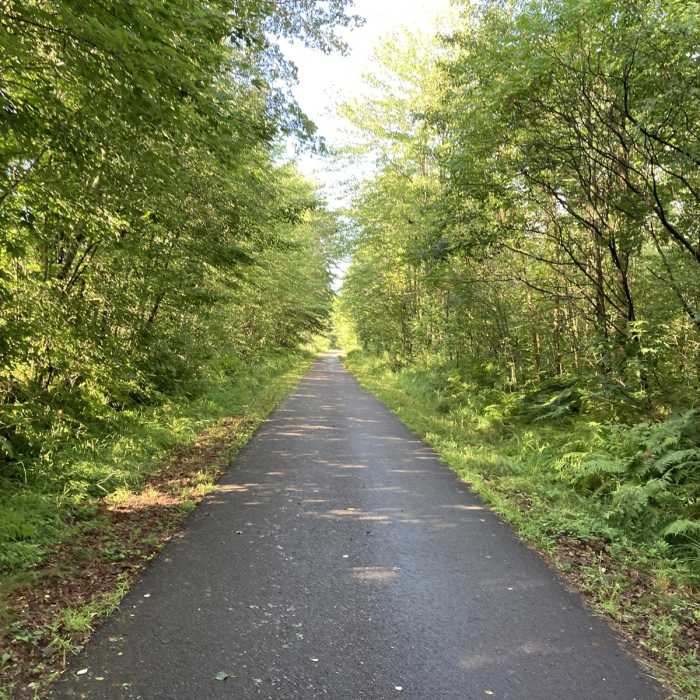 Near Old Abe State Trail