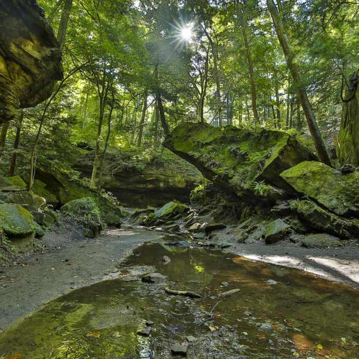 Near Rocky Hollow Falls Canyon Nature Preserve: Trail 3 Near Rocky Hollow Falls Canyon Nature Preserve: Trail 3
