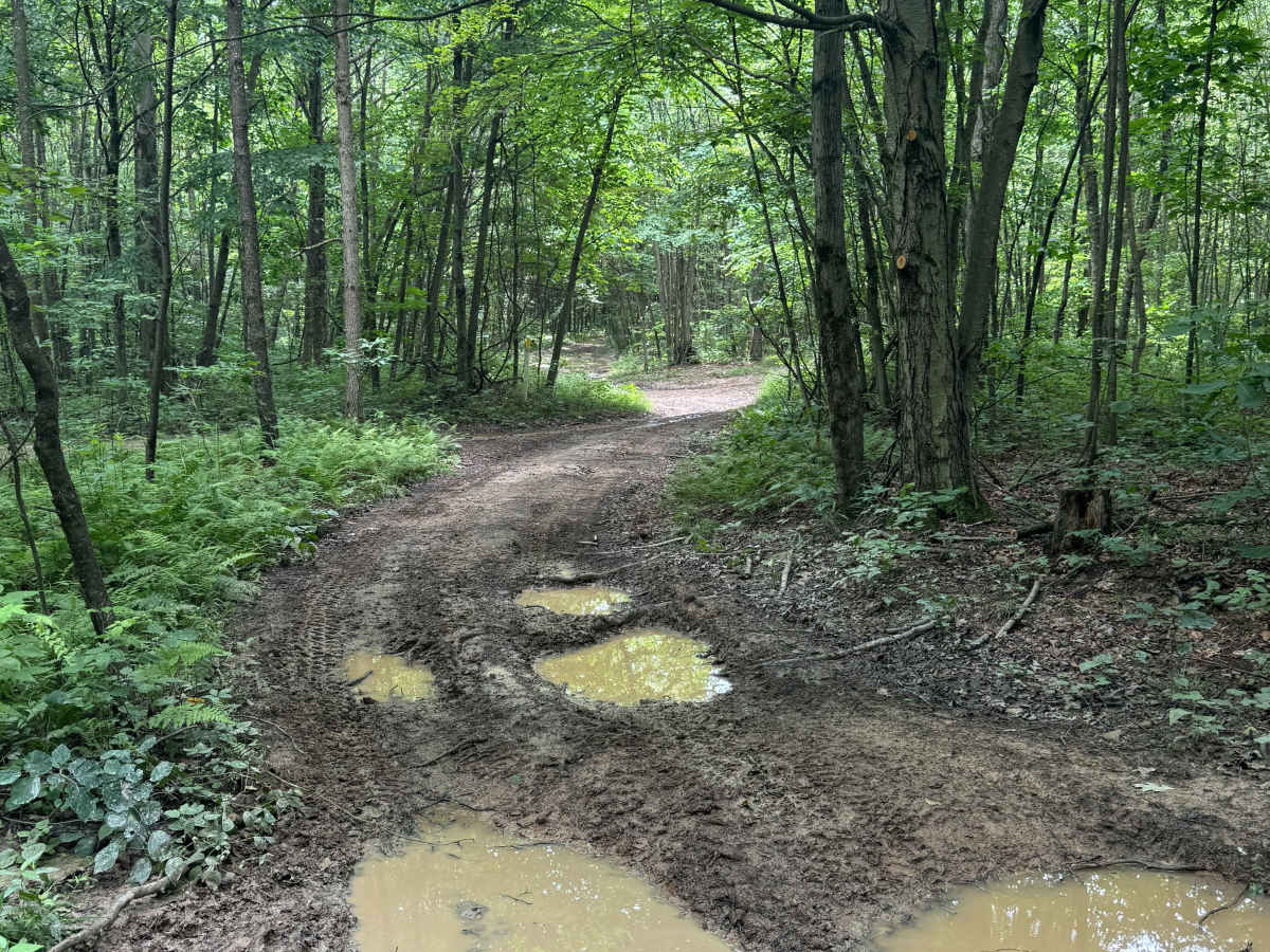 Trail 75 photo 2