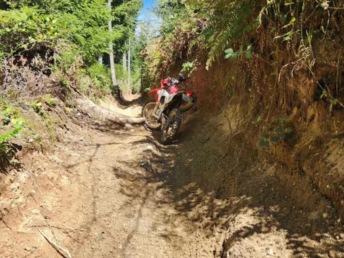 Overland Trail South photo 6