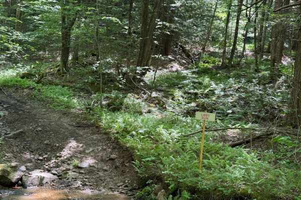 Libby Run North - FS 122N