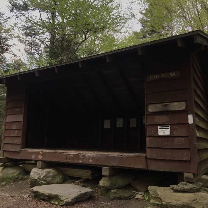 Boyce Shelter. Near The Long Trail (Division 7)