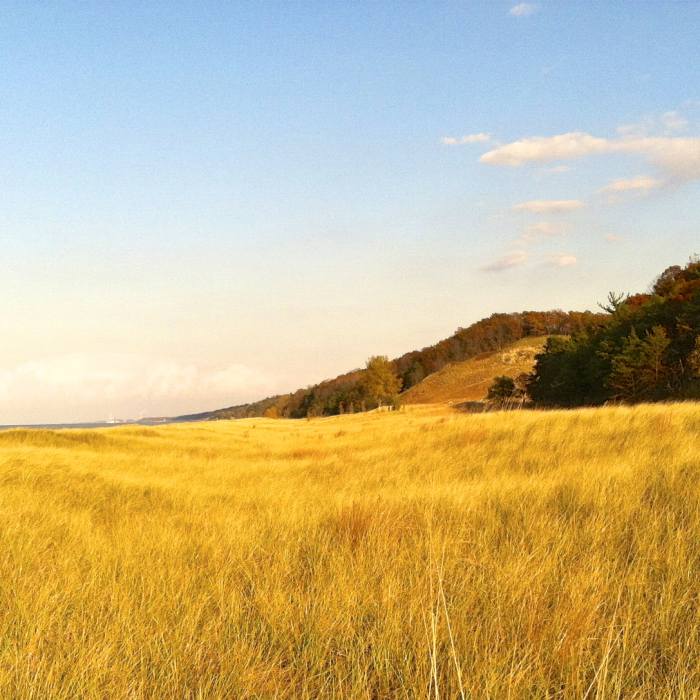 Near Cowles Bog Trail