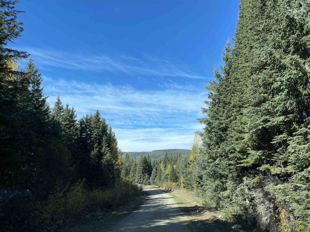 Blair Road Access to Snowmobile Trails photo 5