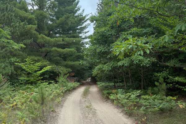 West Buchanan-Pierce Trail