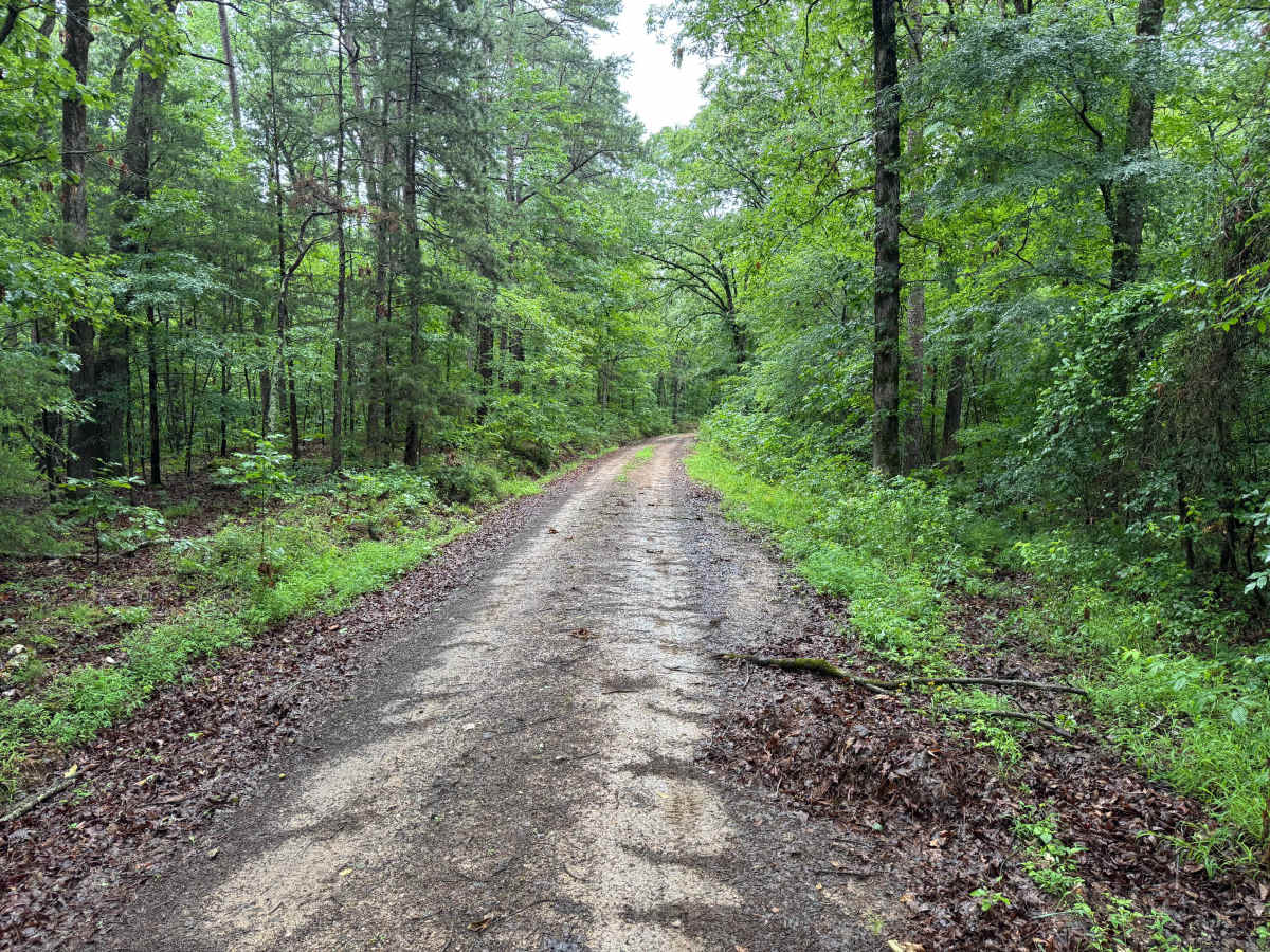 Granville trail photo