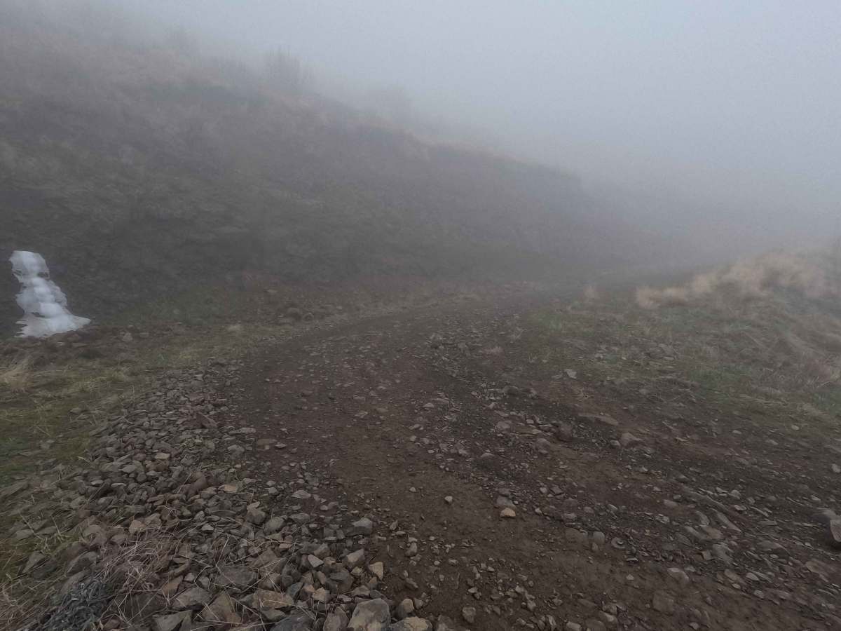 Tarpiscan Road photo 2