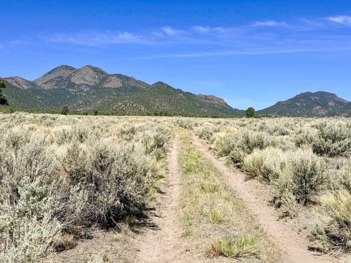 Faulkner Creek - FS 43266 photo 5
