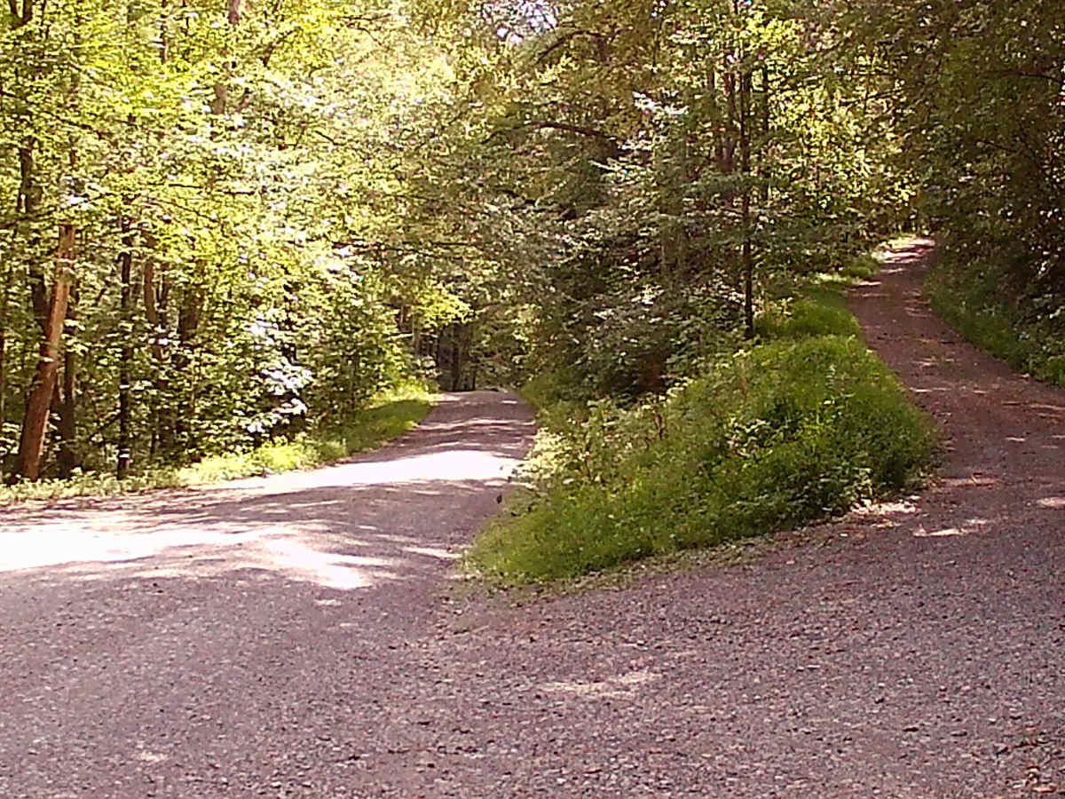 Cherry Run Road photo 5
