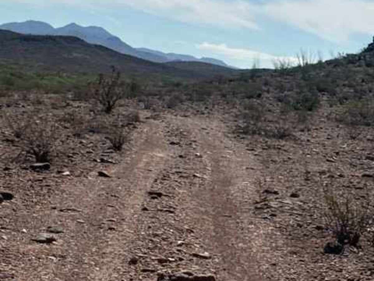 BLM PE1031 photo 4