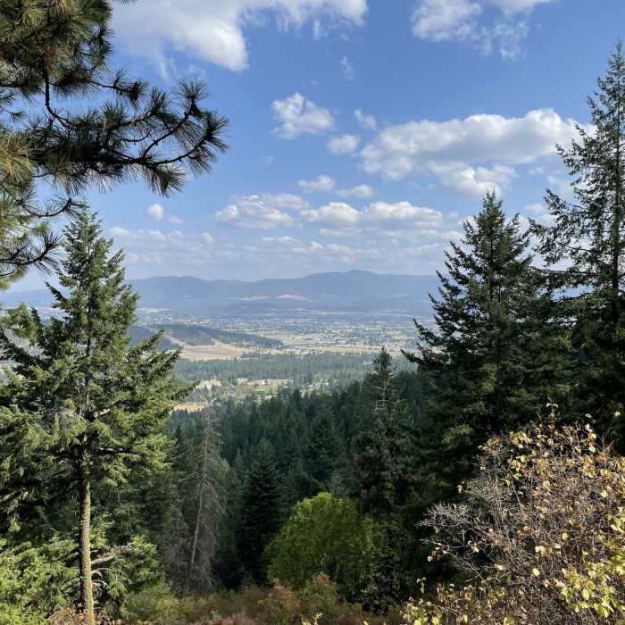 Near Antoine's and Canfield summit gulch