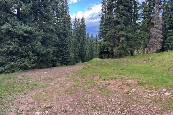 Roaring Fork Road