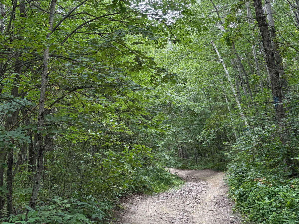 Camp 5 Trail photo 5