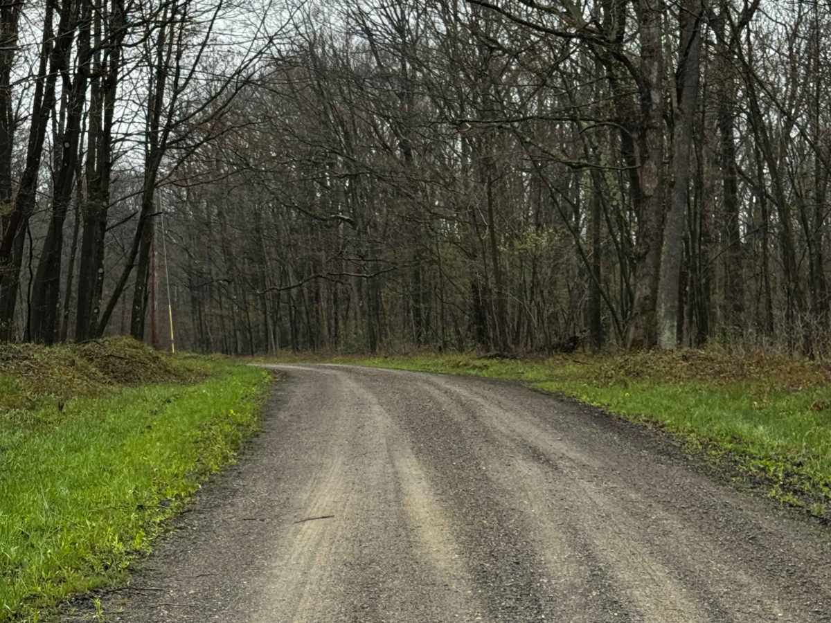 Schofield Road photo 3