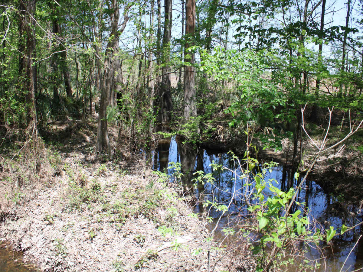The Arkansas Overland Route - TrailHawk Loop - Section 20 photo 3