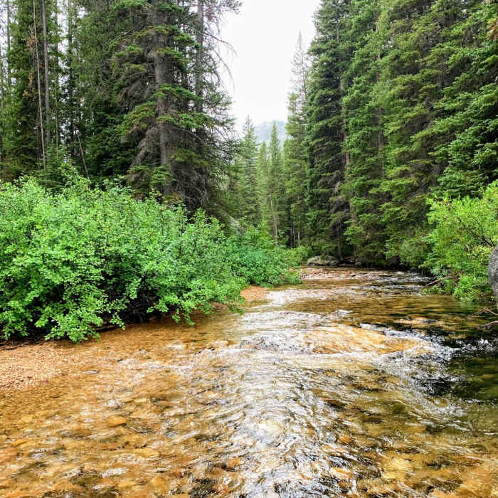 Near Mount Cramer Trail Loop Near Mount Cramer Trail Loop