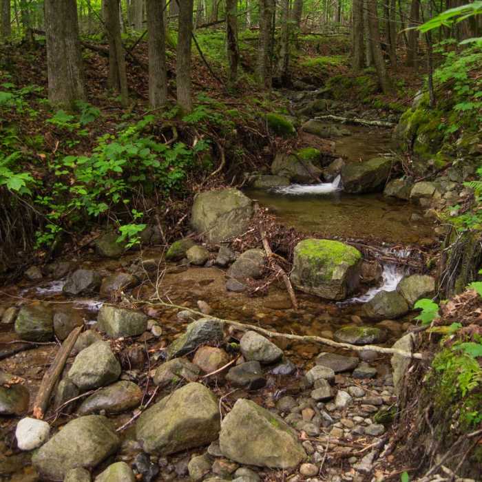Near Mossy Cascade Near Mossy Cascade