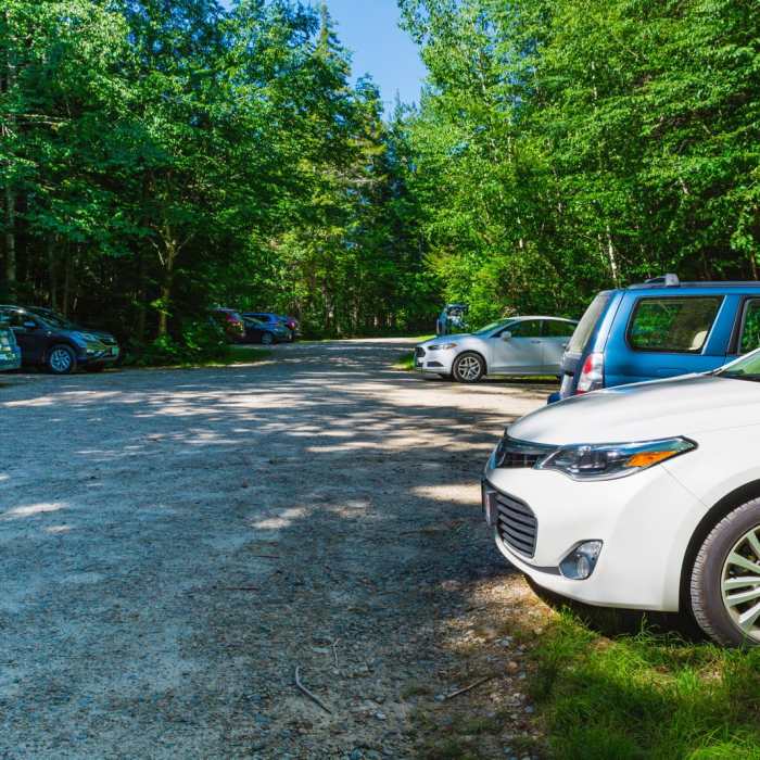 Near Mount Carrigain via Signal Ridge Near Mount Carrigain via Signal Ridge